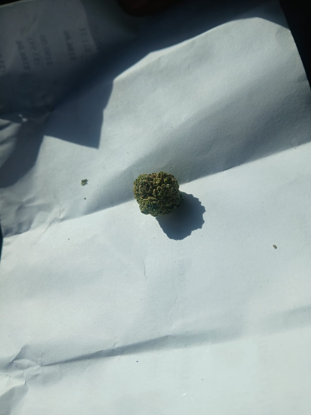 Customer photo review of Bruce Banner - Bulk - Hybrid