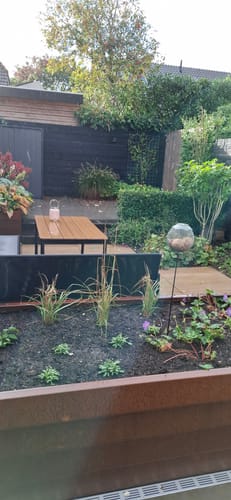 Customer photo review of Struisriet - Calamagrostis x acutiflora 'Overdam'