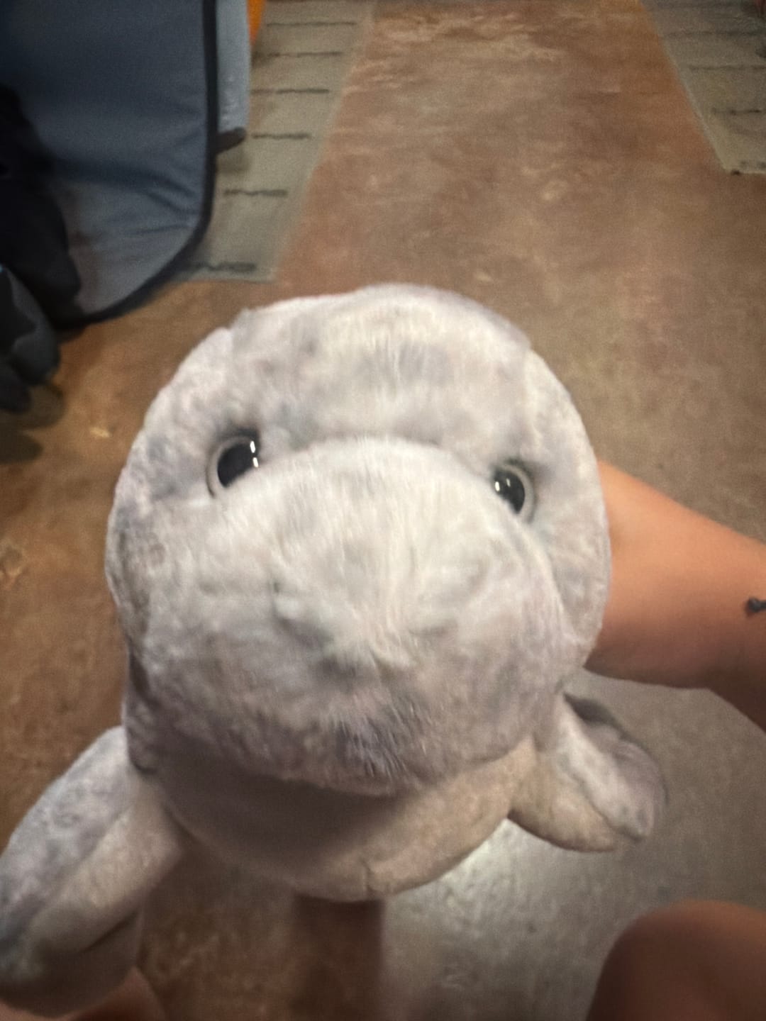 Customer photo review of The Glide Plush