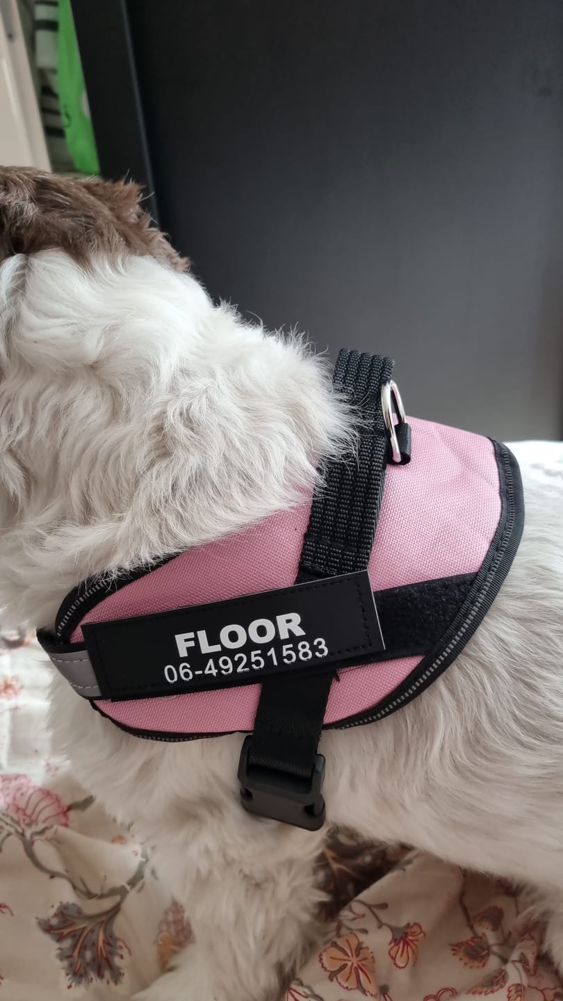 Customer photo review of PawGuard - Gepersonaliseerd Hondentuigje