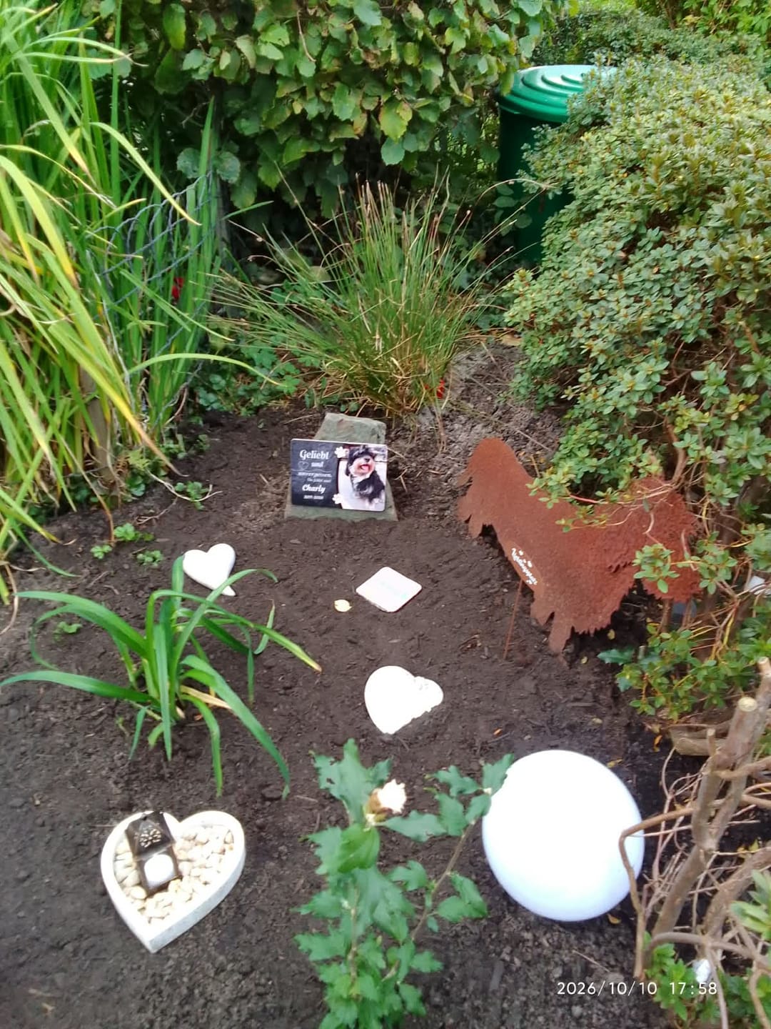 Customer photo review of Hunde Gedenktafel mit Foto & Spruch (UV- & Wetterfest)