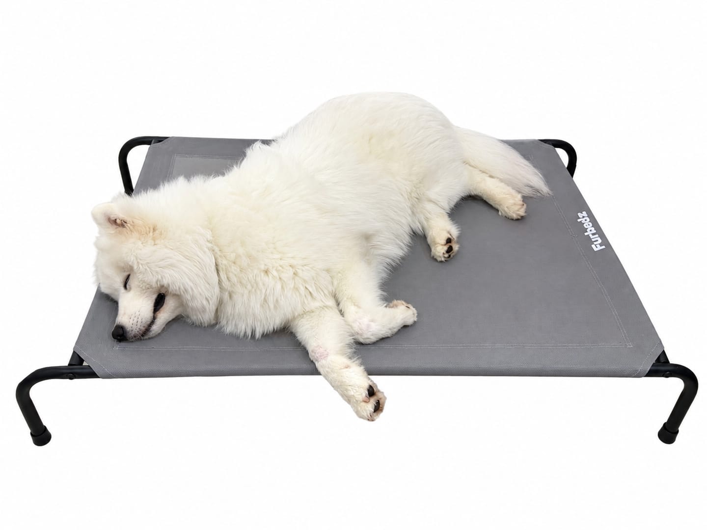 Customer photo review of Cama Elevada para Perros