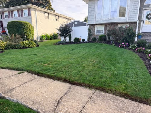 Customer photo review of GCI Turf Cool Blue Grass Seed