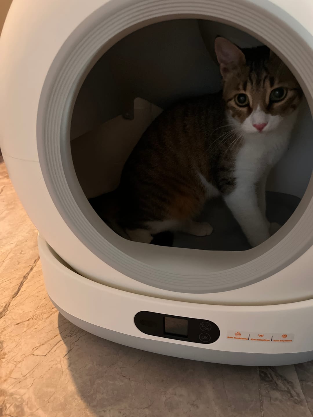 Customer photo review of Otomatik Kedi Tuvaleti (Kameralı) | 72 Lt, 1080p, Mobil Kontrol, Wifi, Akıllı Kedi Tuvaleti (X8623)