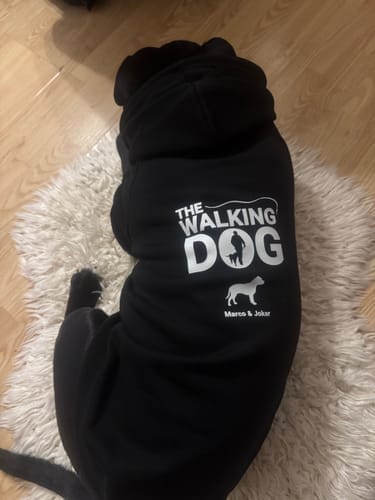 Customer photo review of Sudadera para perros personalizada - The Walking Dog