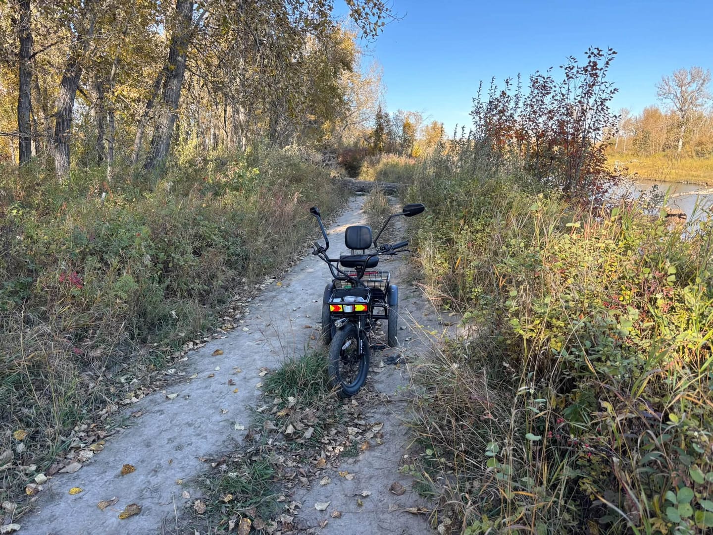 Customer photo review of Eskute® T300 Max Folding Electric Trike with Reverse Function