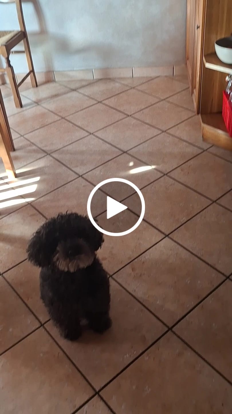 Customer video review of Belly Champ €12,90
