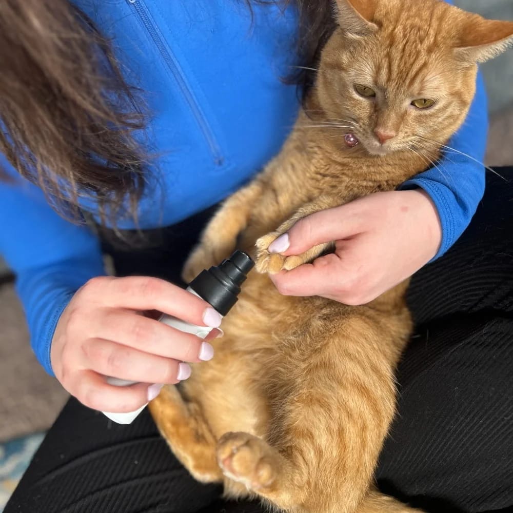Customer photo review of Limador de Uñas para Mascotas
