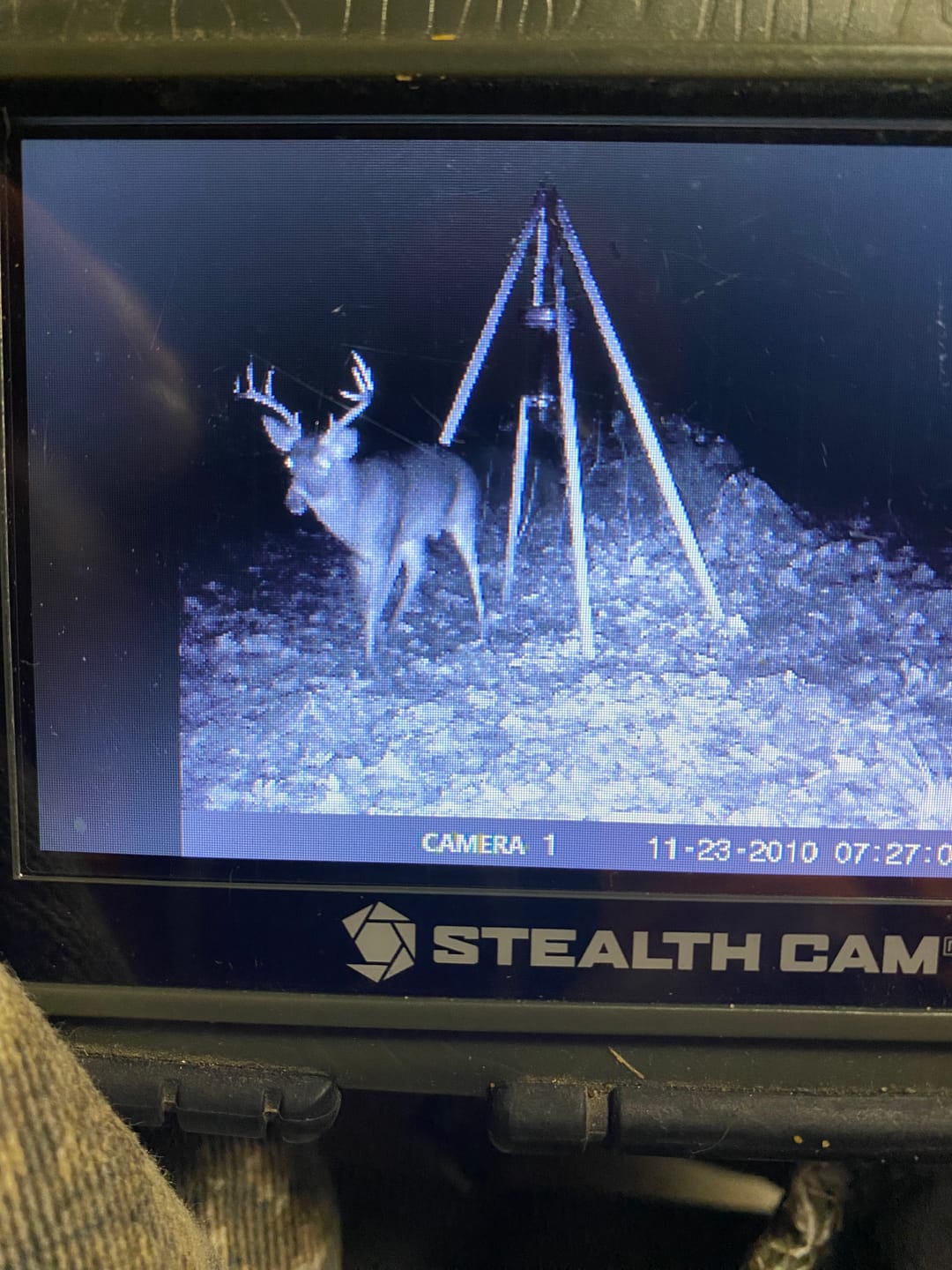 Customer photo review of Game Feeder Kit