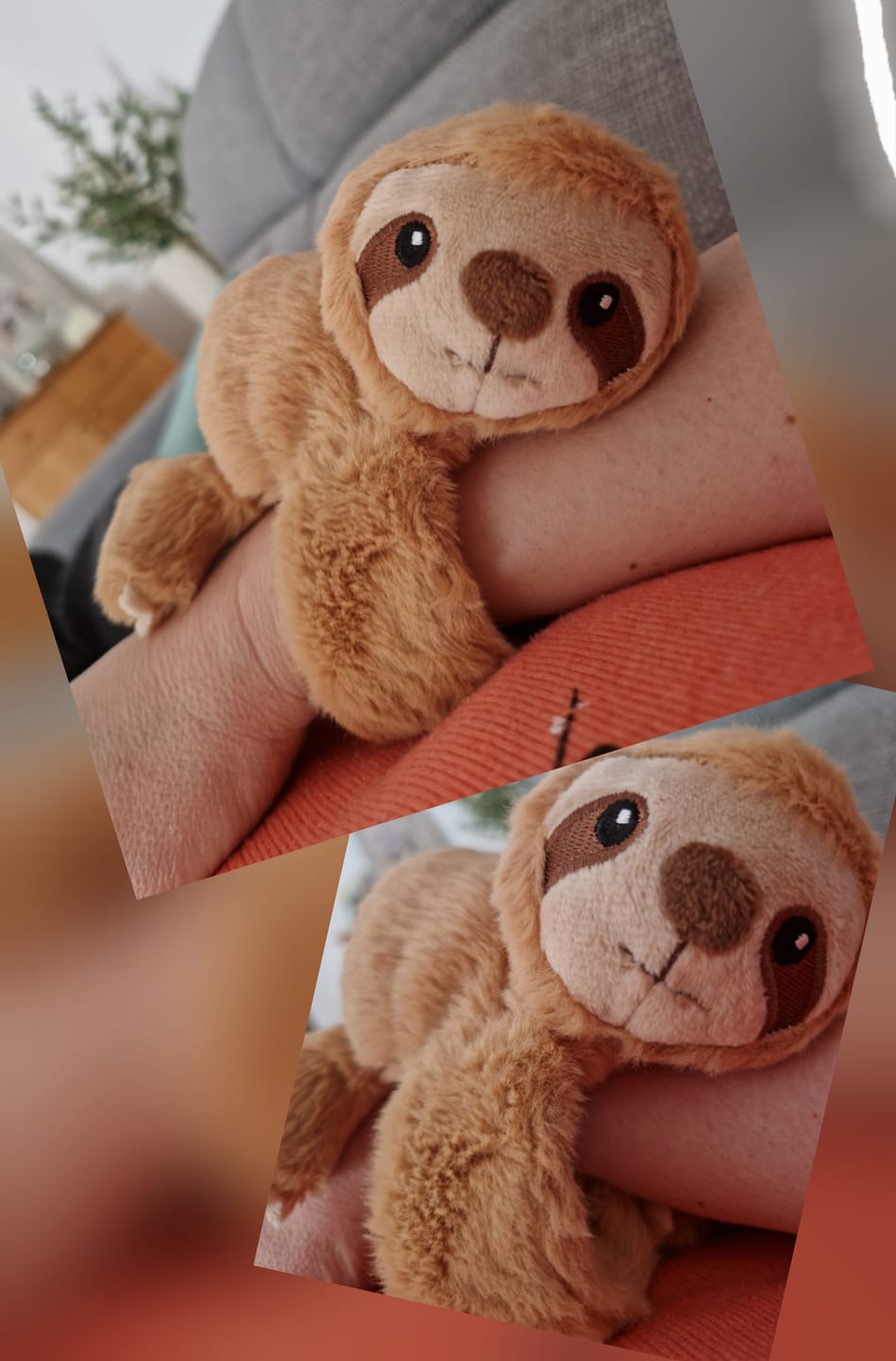 Customer photo review of Mini Lotgenootje Luiaard