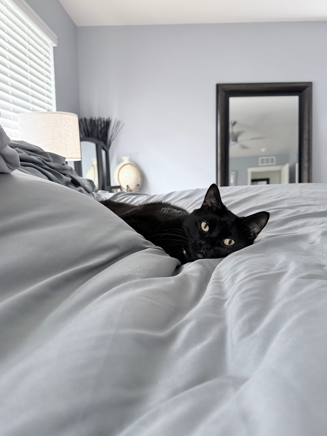 Customer photo review of MarshMellow Comforter