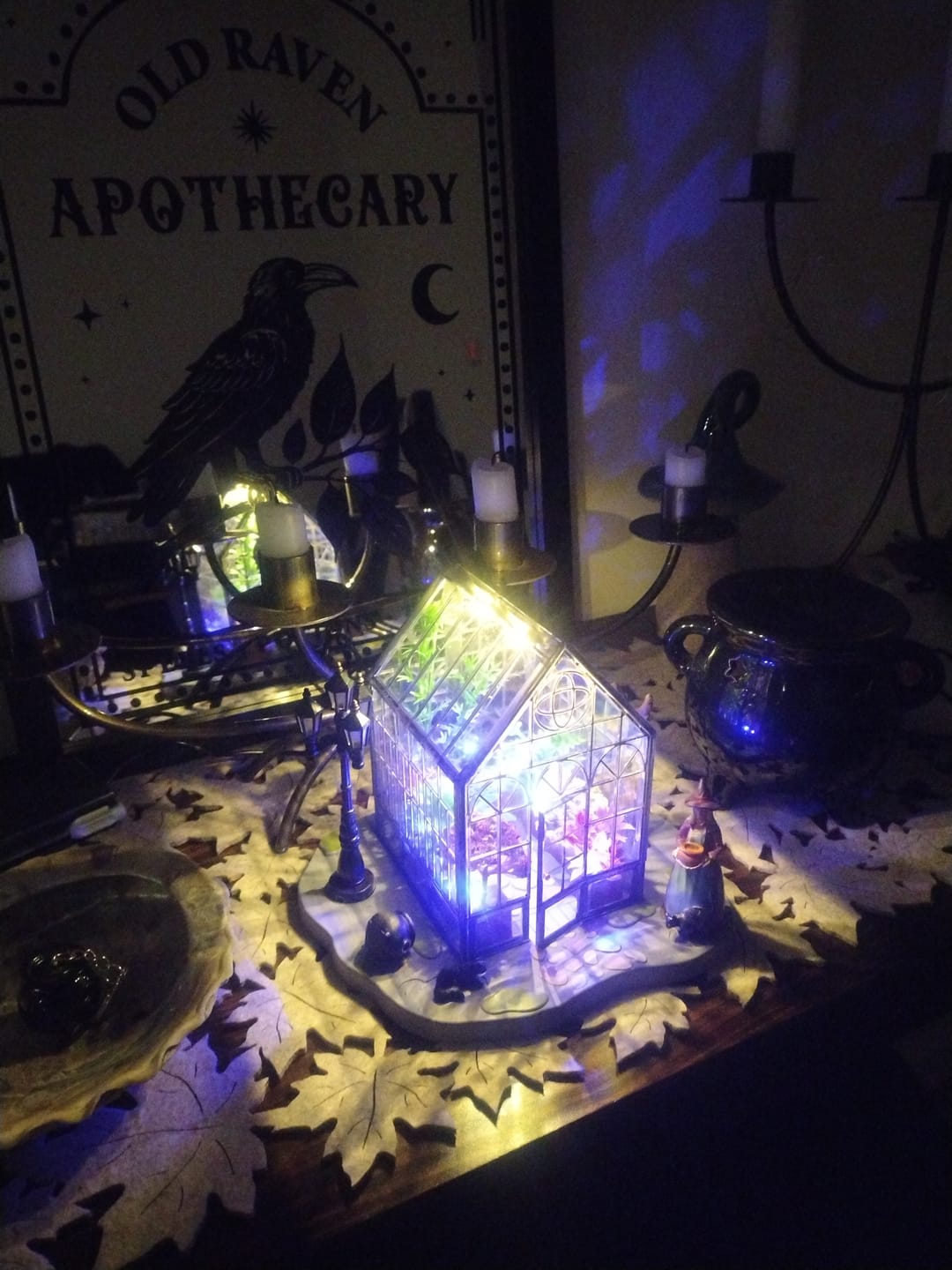 Customer photo review of Agatha’s Greenhouse – Beleuchtetes Hexen Gewächshaus Spooky Regal Deko