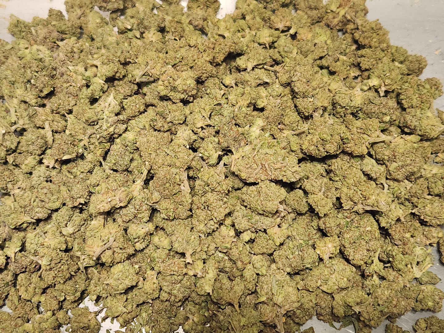 Customer photo review of Cheap THCA Flower Half Pound