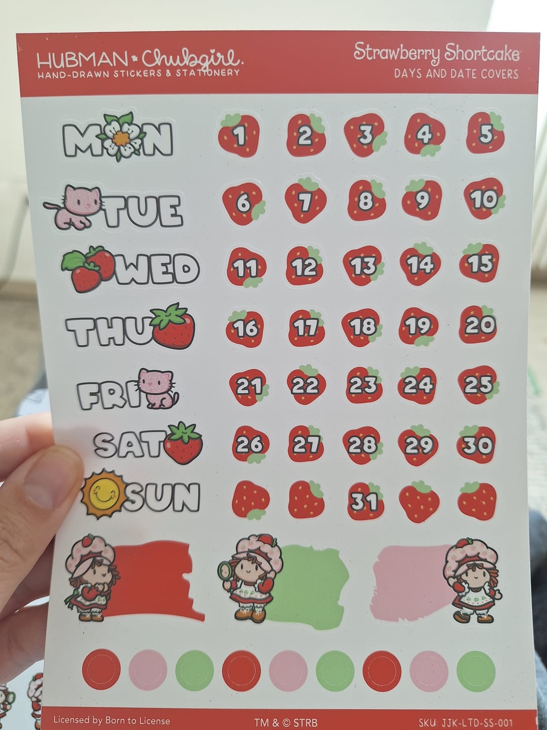 Customer photo review of Strawberry Shortcake Days and Date Covers