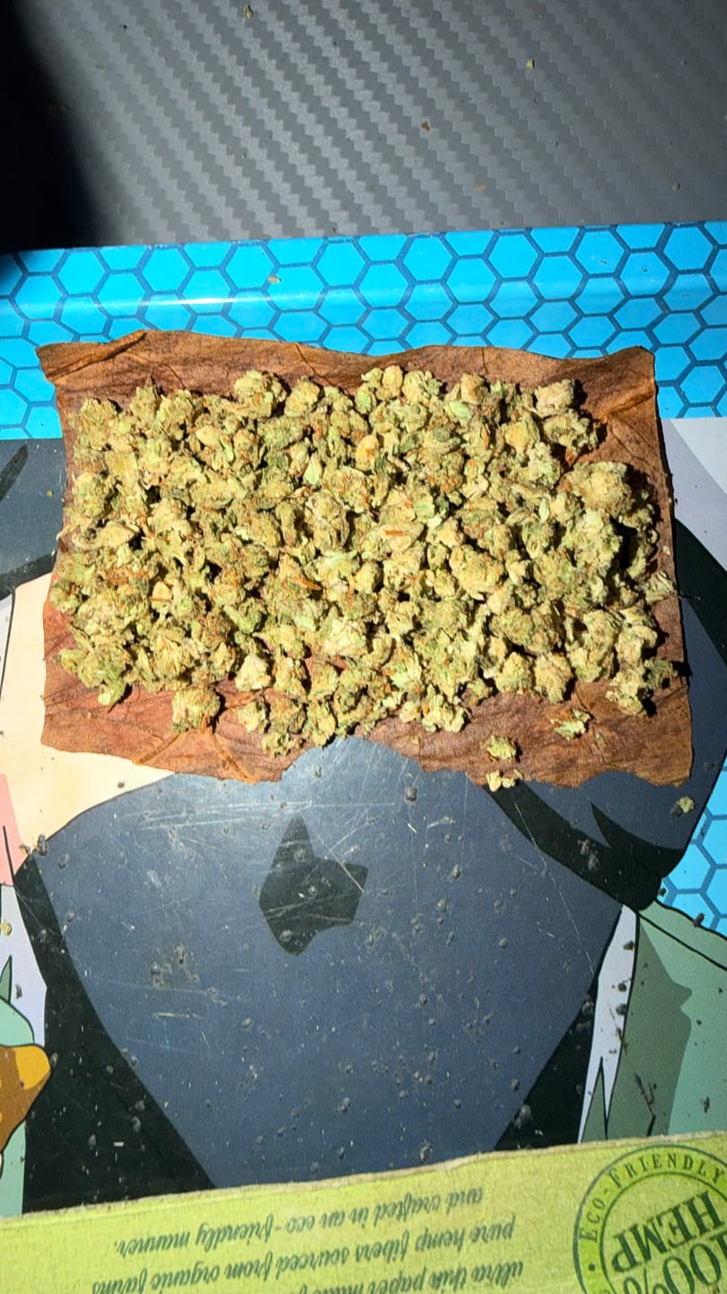 Customer photo review of Greenhouse Smalls