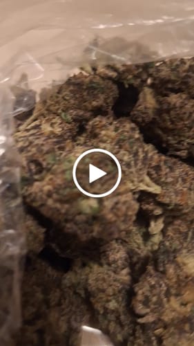 Customer video review of Cheap Indoor THCA Flower Ounce