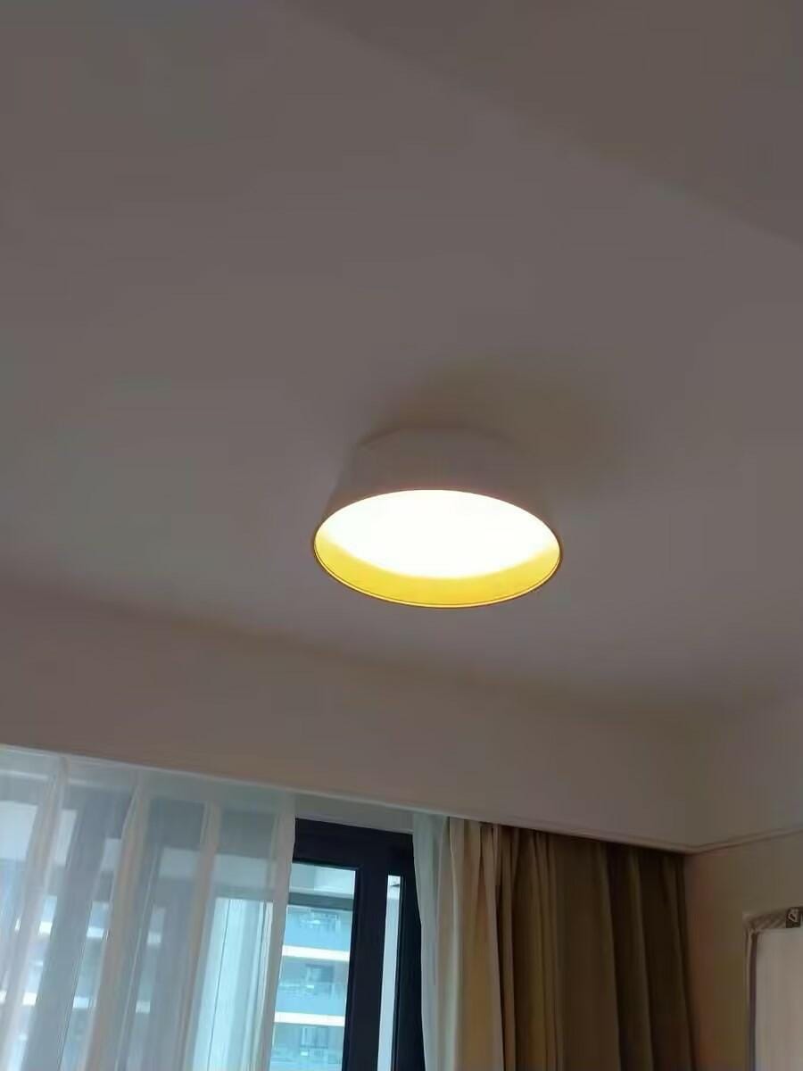 Customer photo review of Fluted Metal Ceiling Light, Wood Grain Interior, LED, 46 cm