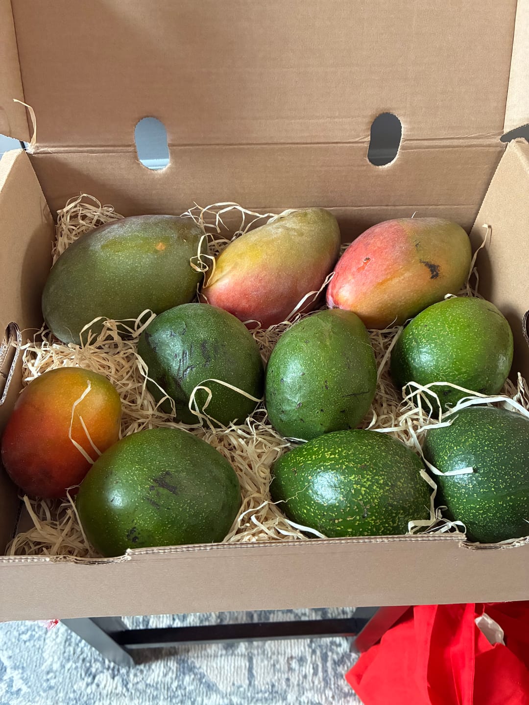Customer photo review of Avocado "Jumbo" Bio & Fair Kipepeo - nicht bewässert, Wildwuchs