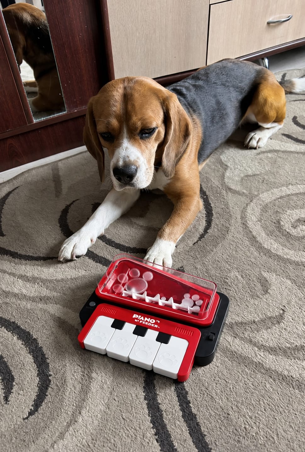Customer photo review of PAW PIANO