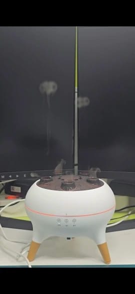 Customer photo review of Jellyfish Essential Oil Diffuser & Air Humidifier