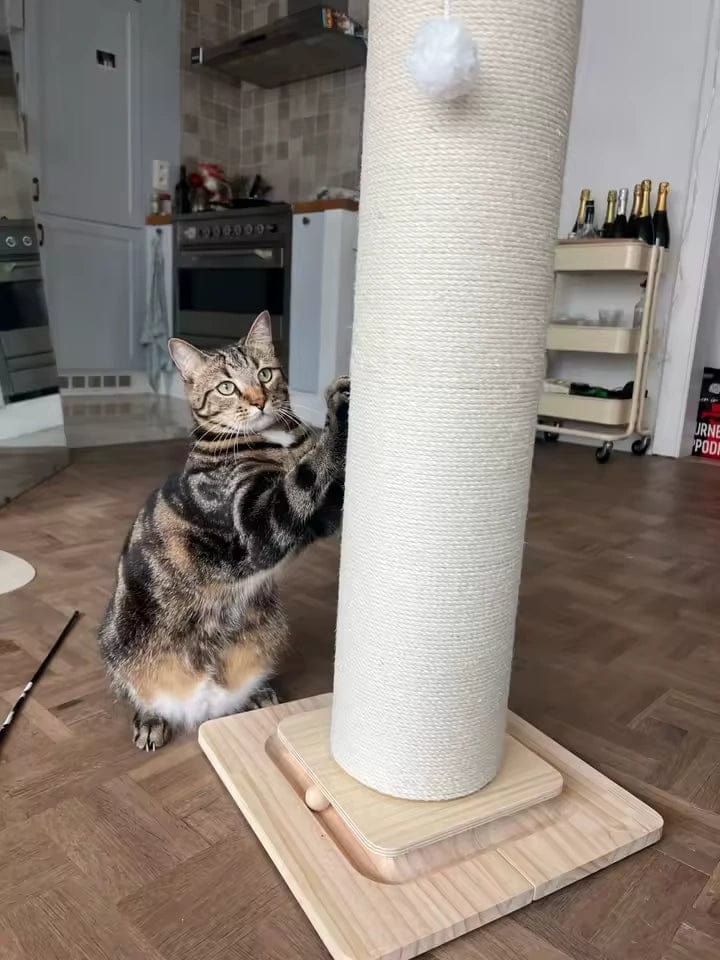 Customer photo review of Griffoir vertical compact en sisal — Pinn