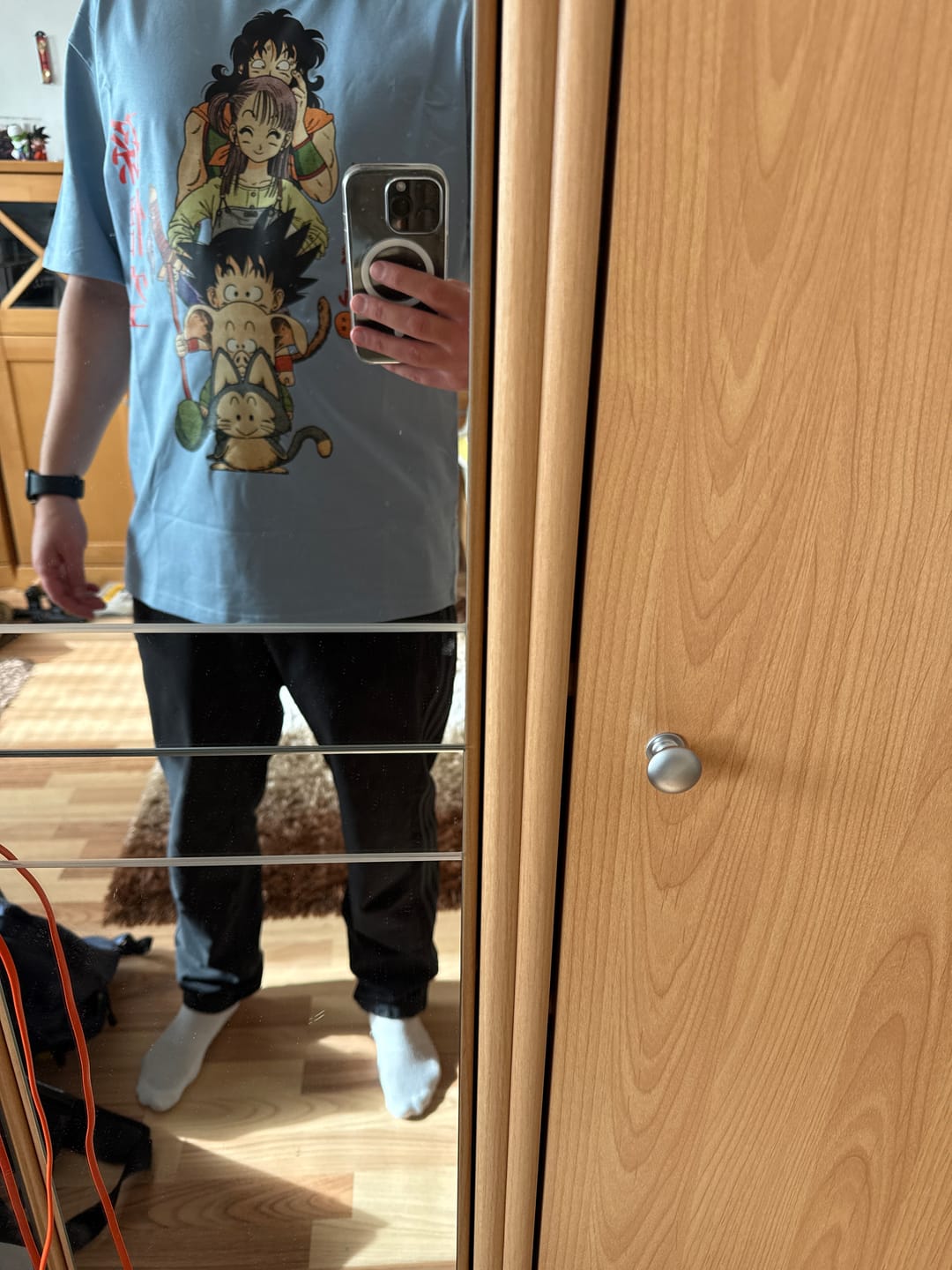 Customer photo review of Dragon Ball Classic Squad Tee