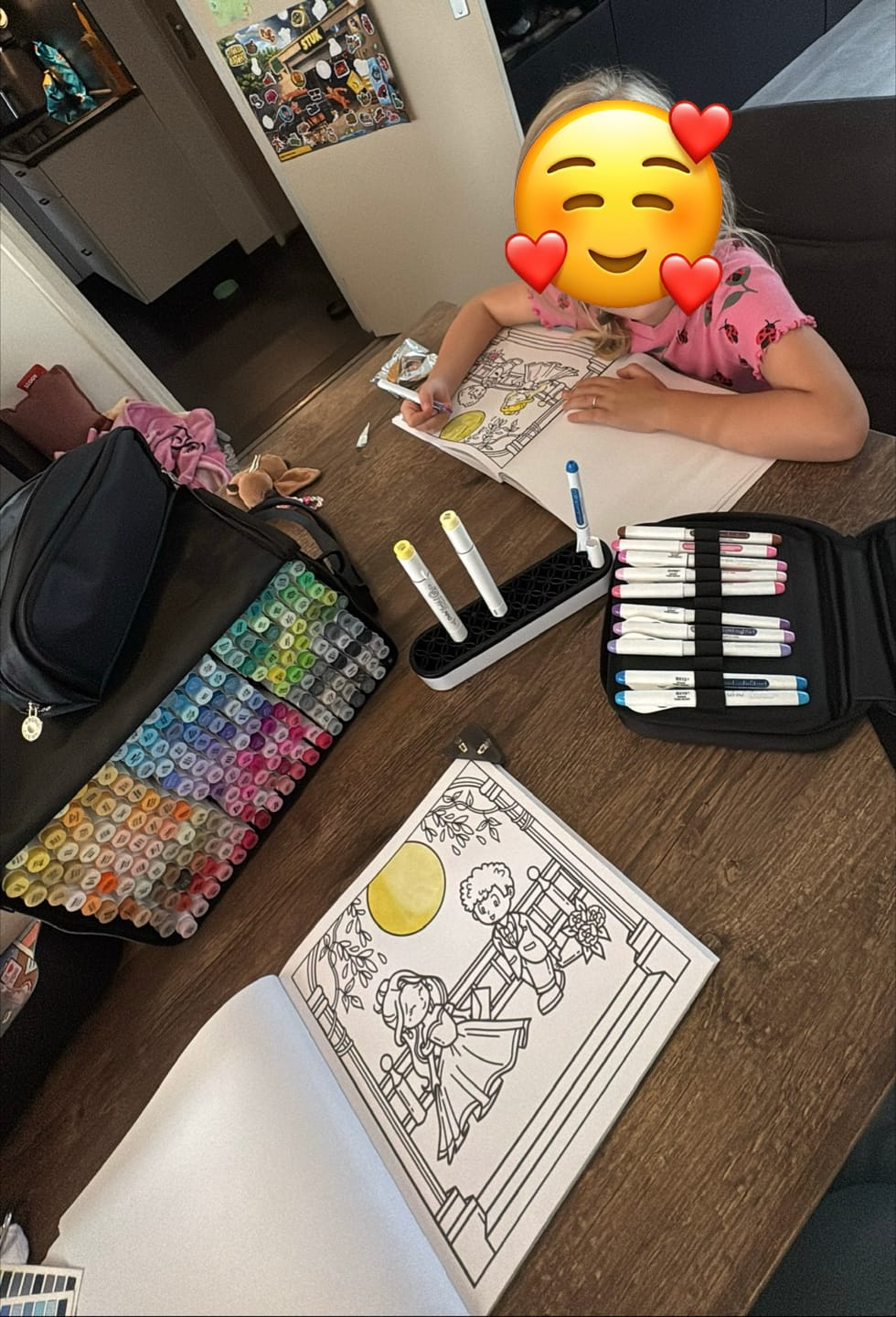 Customer photo review of Ohuhu Honolulu 216 Colors Dual Tips Alcohol Art Markers (New Color Codes)