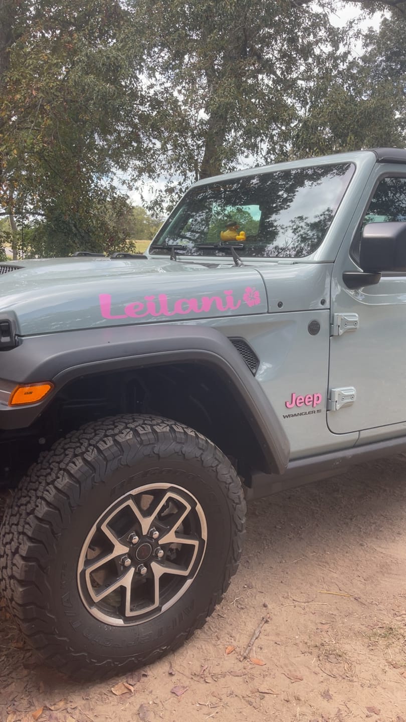 Customer photo review of JEEP Wrangler Emblem Overlay Decal Set | Fits JL, JK, TJ & YJ