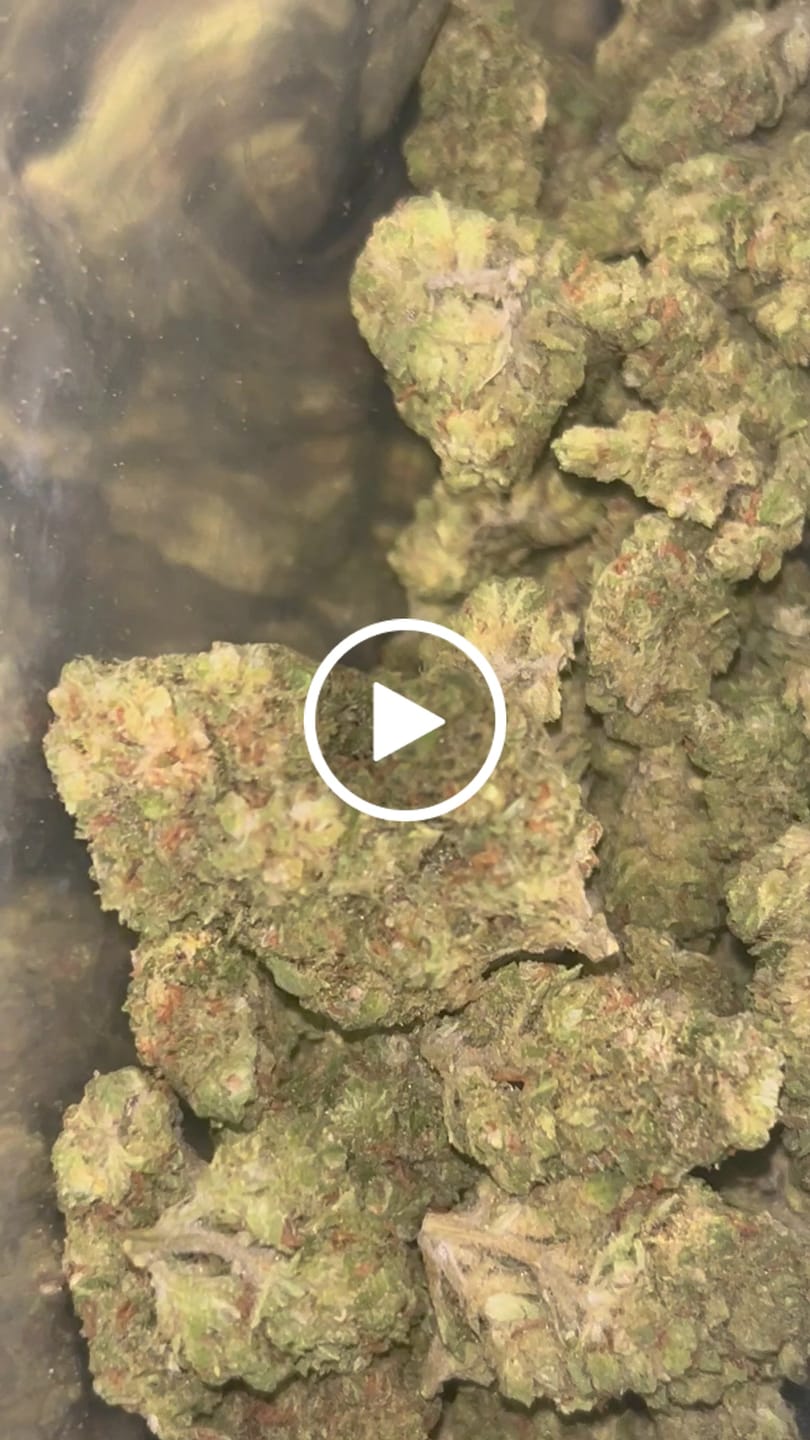 Customer video review of Cheap THCA Flower Ounce (28g)