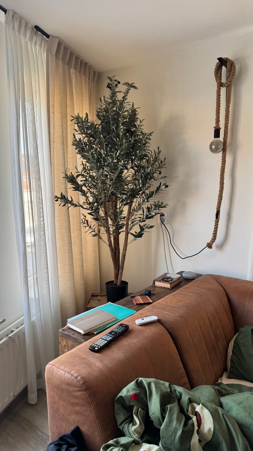 Customer photo review of Kunst Olijfboom 165cm Deluxe