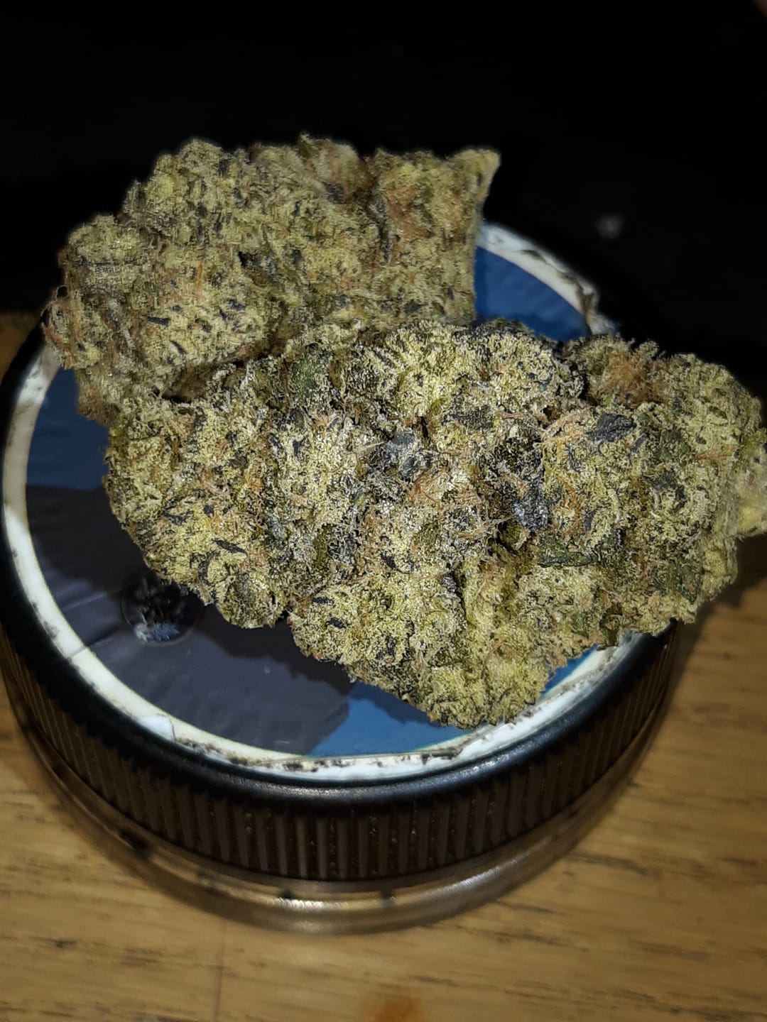 Customer photo review of Obama Runtz Exotic THCA