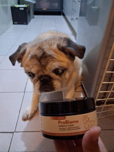 Customer's hand holding a jar of ProBiome狗狗益生菌軟粒, with a dog in the background.