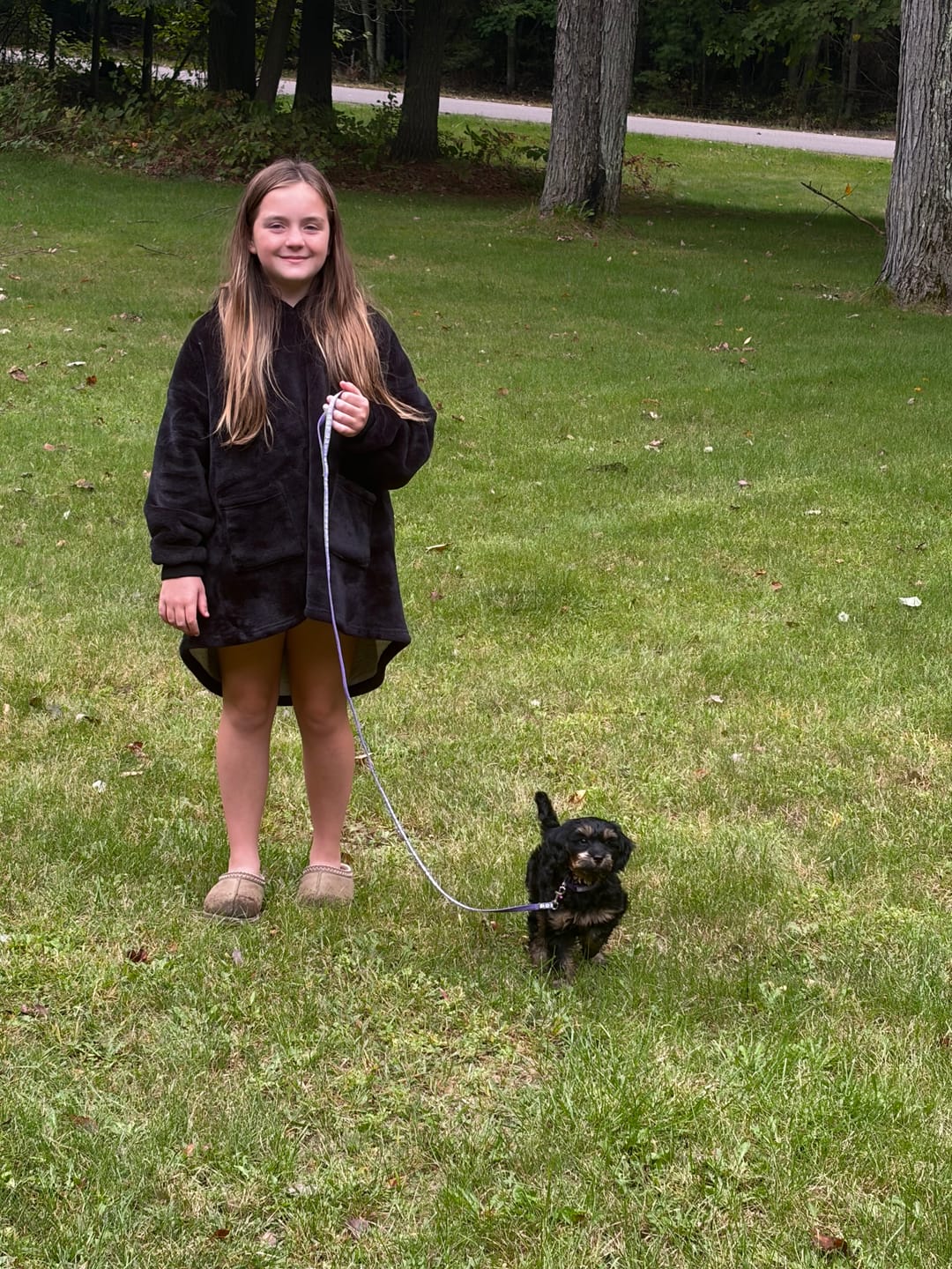 Customer photo review of Funny Peeking Phantom Goldendoodle T-Shirt