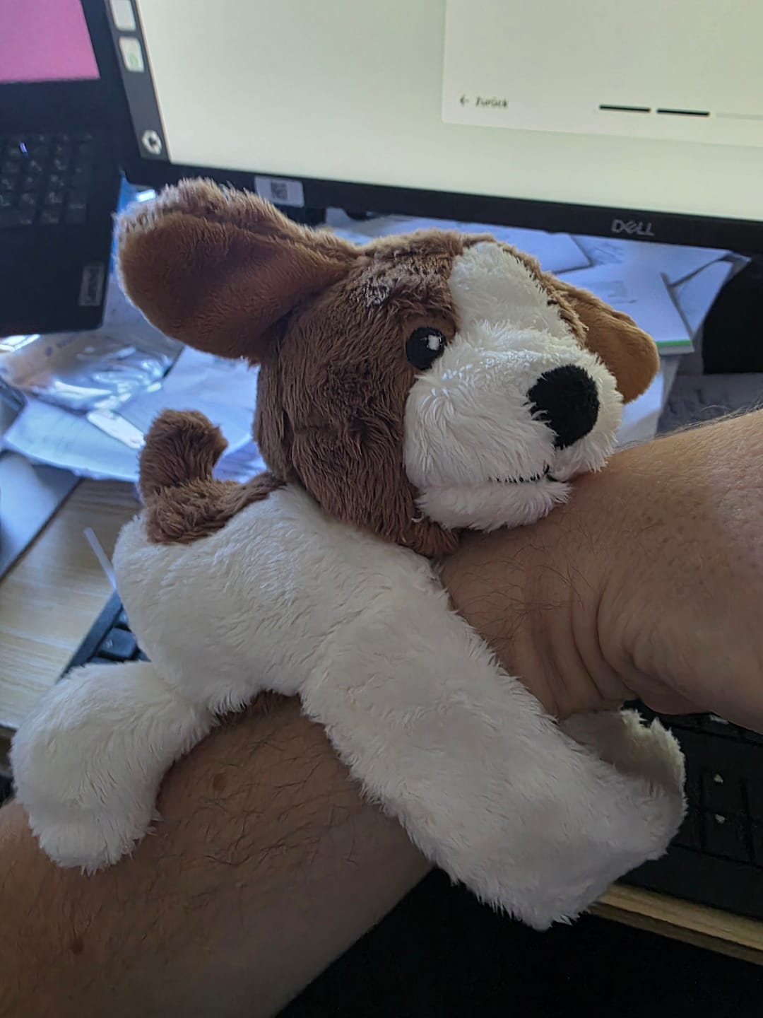 Customer photo review of Mini Lotgenootje Hond