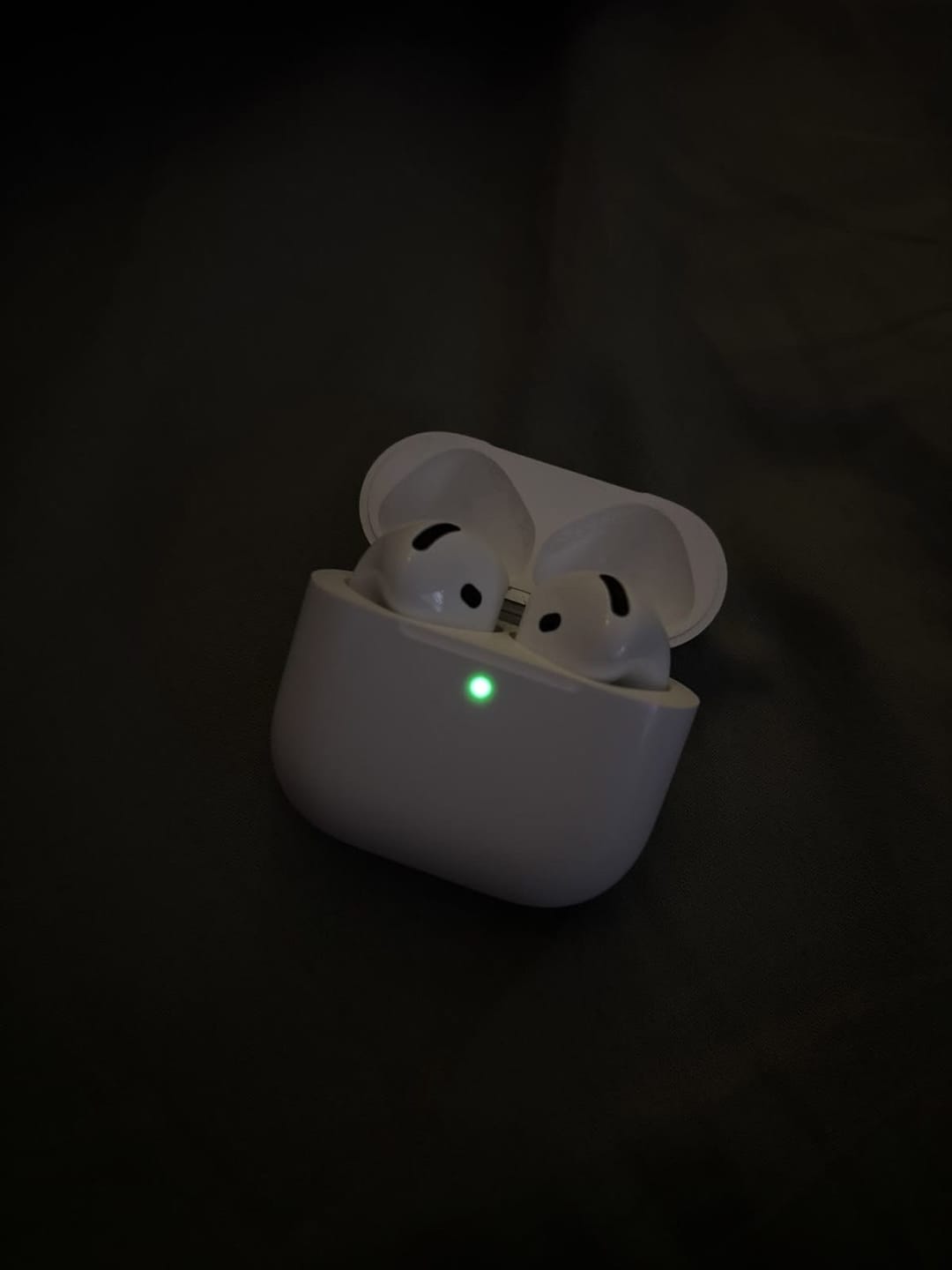 Customer photo review of APods 4