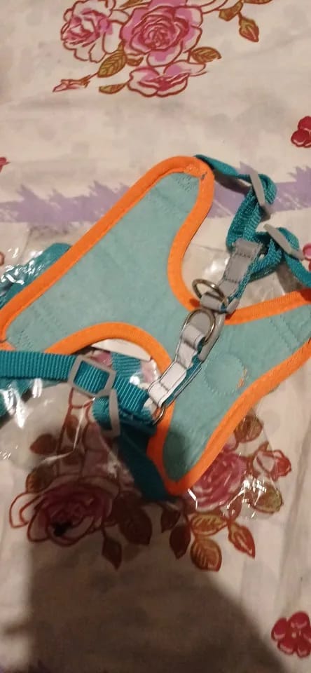 Customer photo review of Dogs Harness Vest Walking Traction Rope Reflective Straps Soft Mesh