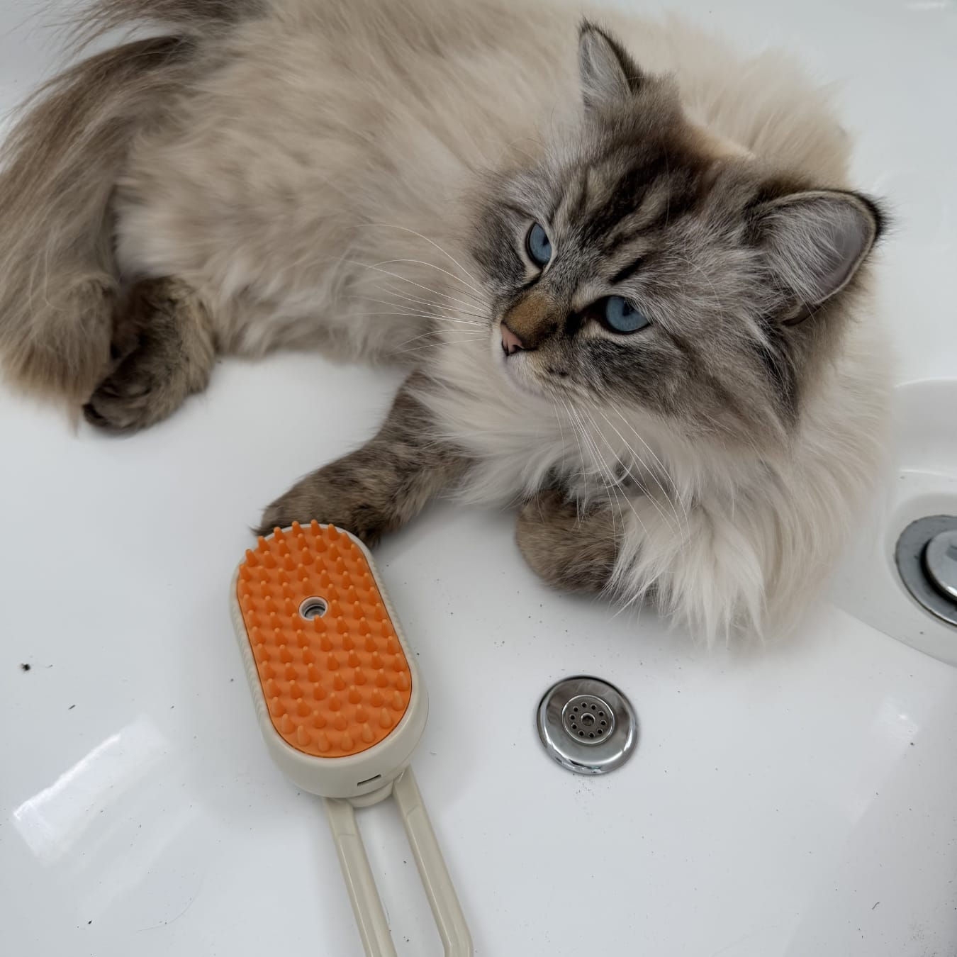 Customer photo review of PälsLugn™ – 3-i-1 Pälsborste
