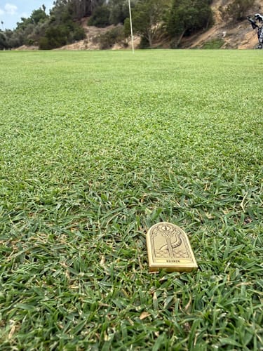 Customer photo review of Oculus Ball Marker