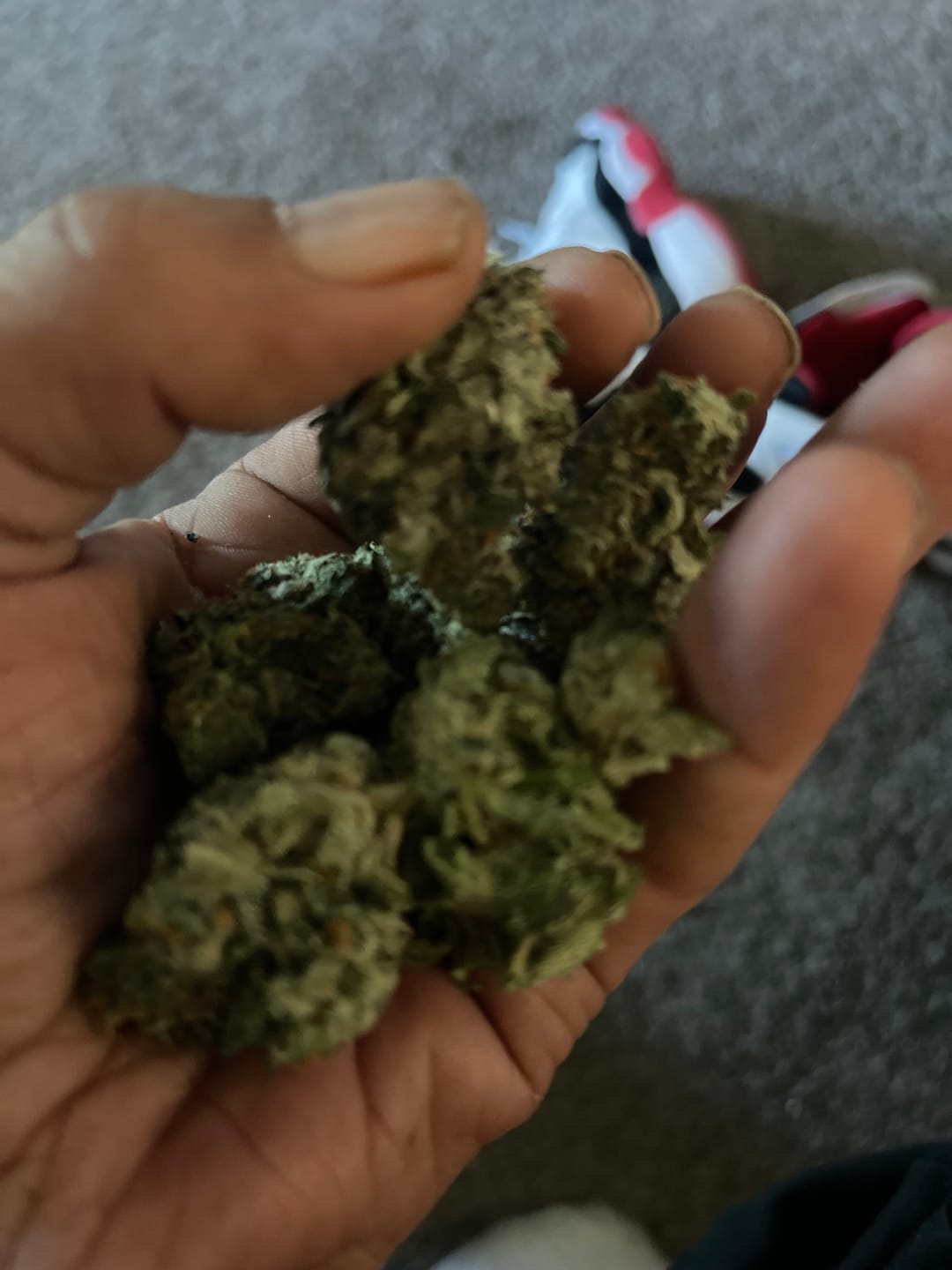 Customer photo review of 4 oz Premium Variety Bundle THCA (Premium)