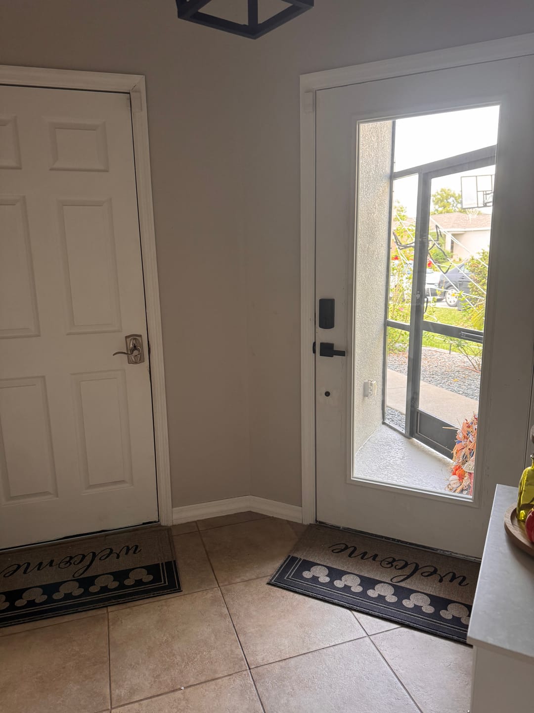 Customer photo review of Clear 1 Lite Glass and Frame Kit (Full Lite)