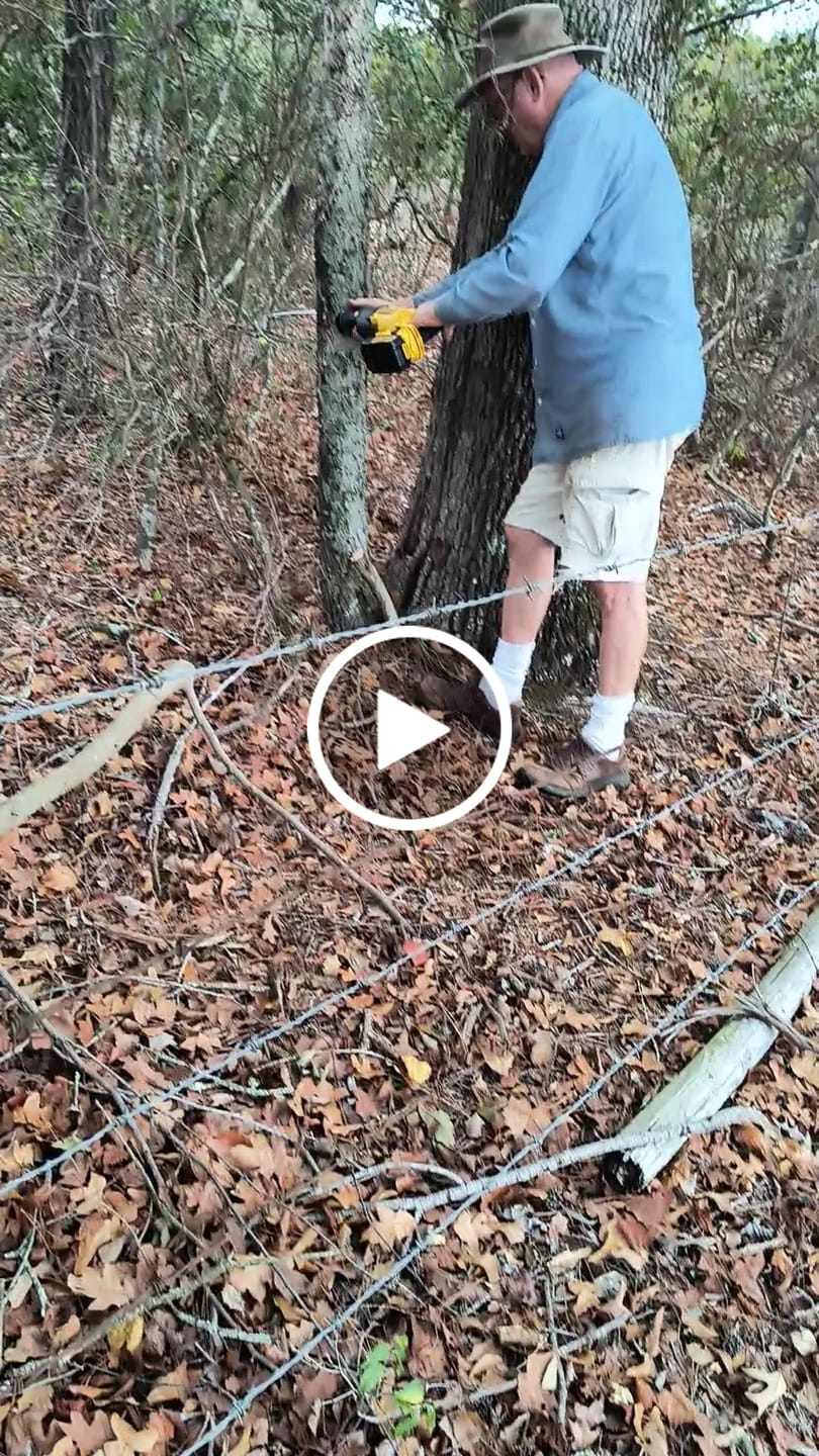 Customer video review of Tree Trimming/Wood Cutting – Japanese Teeth Arc Edge 6 TPI Reciprocating Saw Blade