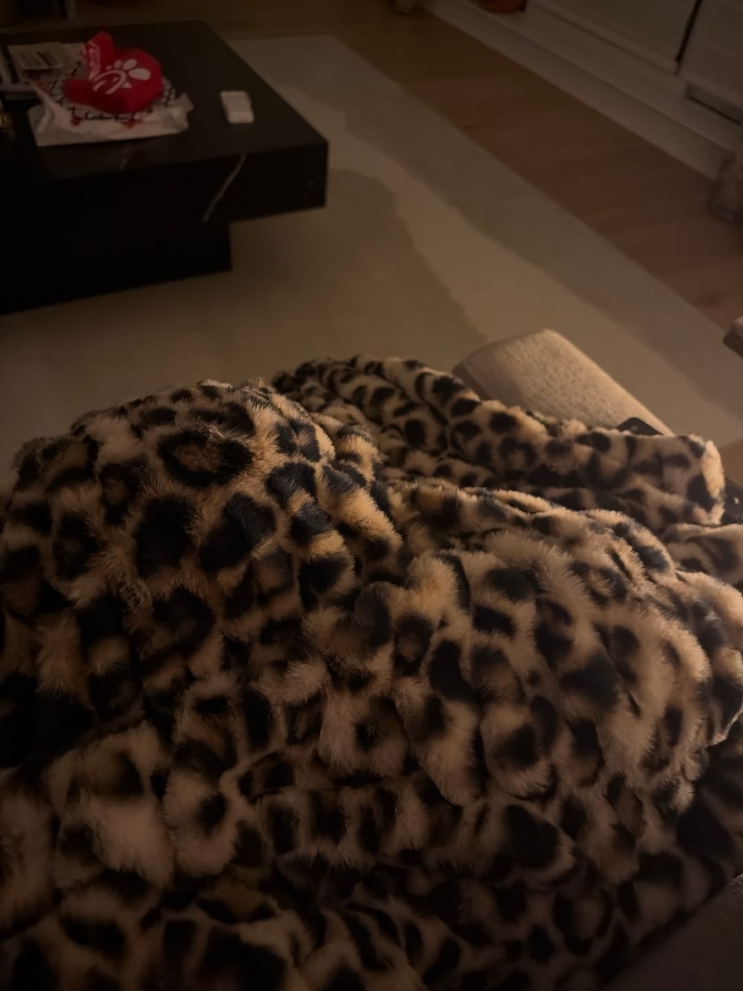 Customer photo review of Hugs Golden Leopard Blanket