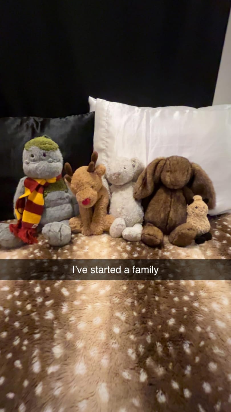 Customer photo review of Faux Fur Deer Blanket