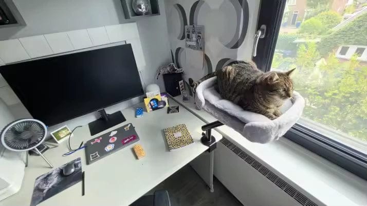 Customer photo review of Lit de bureau cocon pour chat — Kose