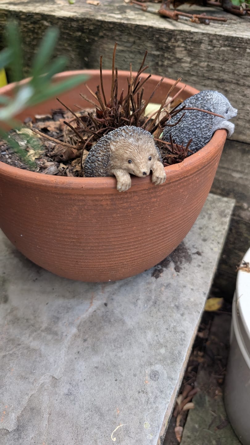 Customer photo review of Henry Hedgehog Pot Hanger