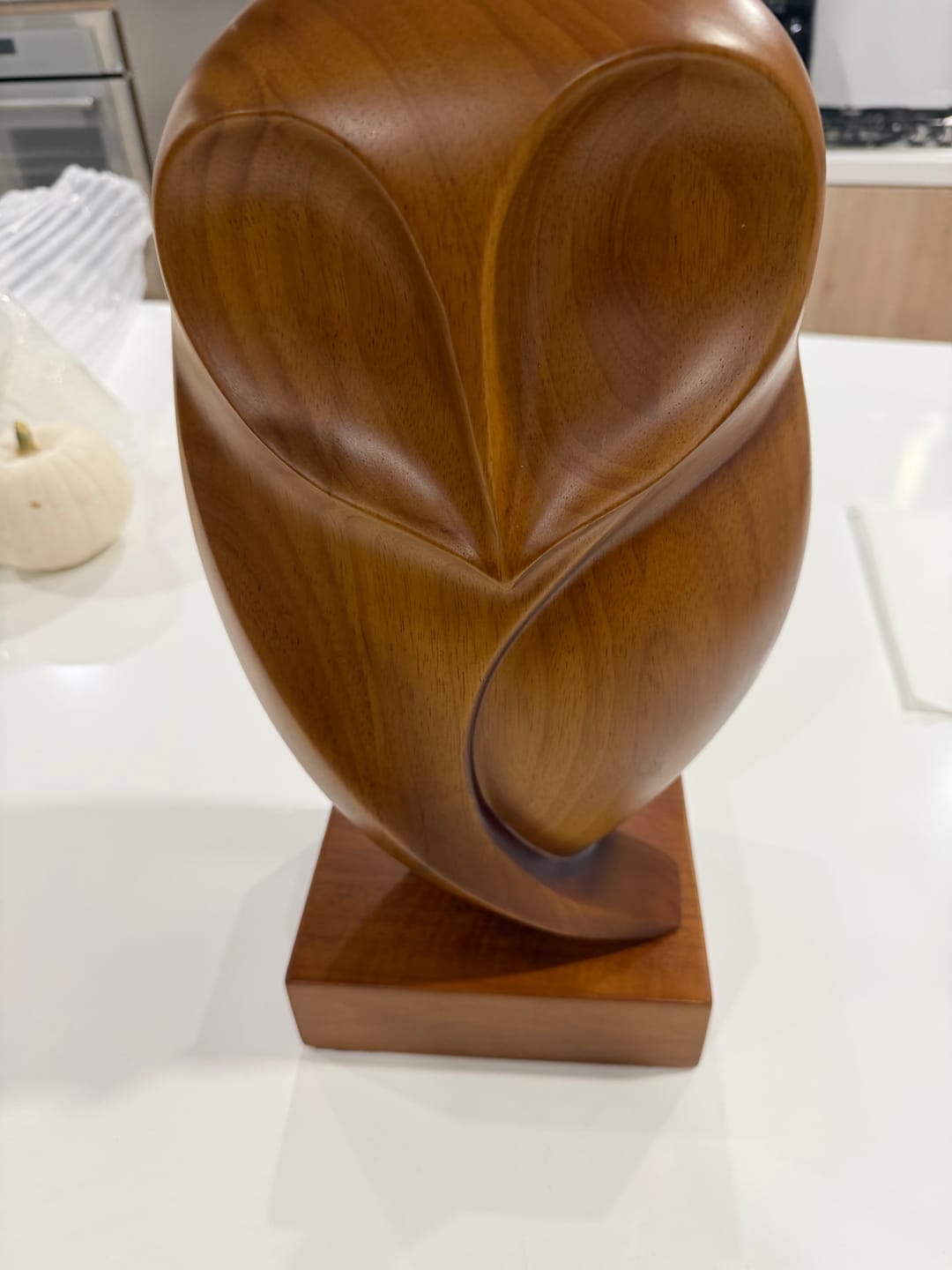 Customer photo review of Owl Wood Sculpture #WA191