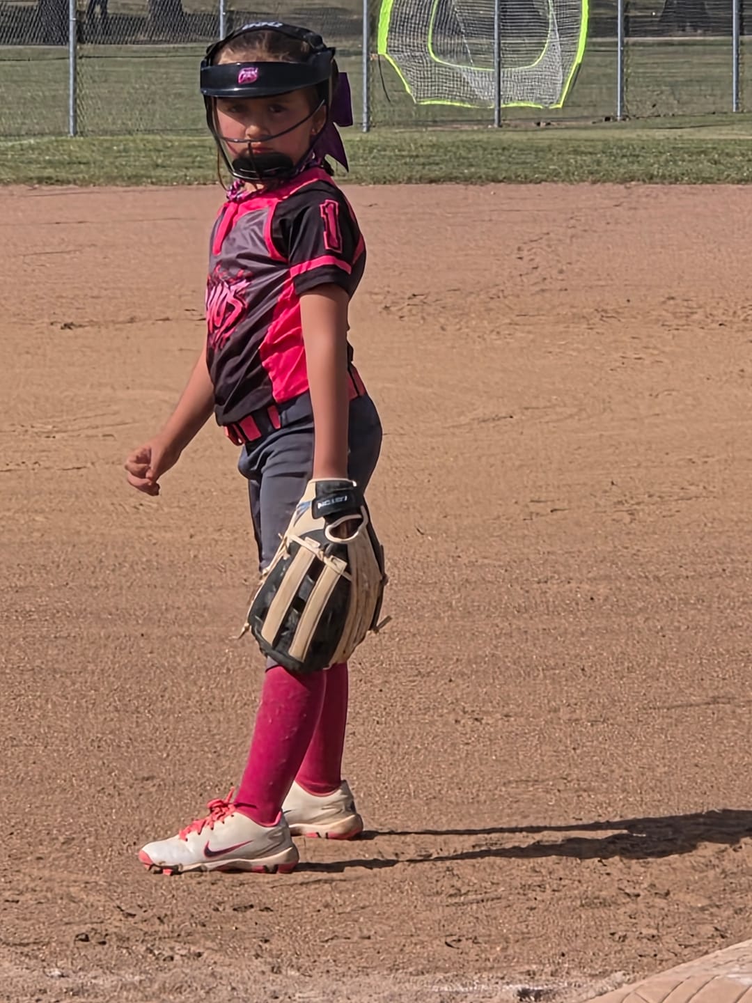 Customer photo review of Customize Your NEO With a Team Logo