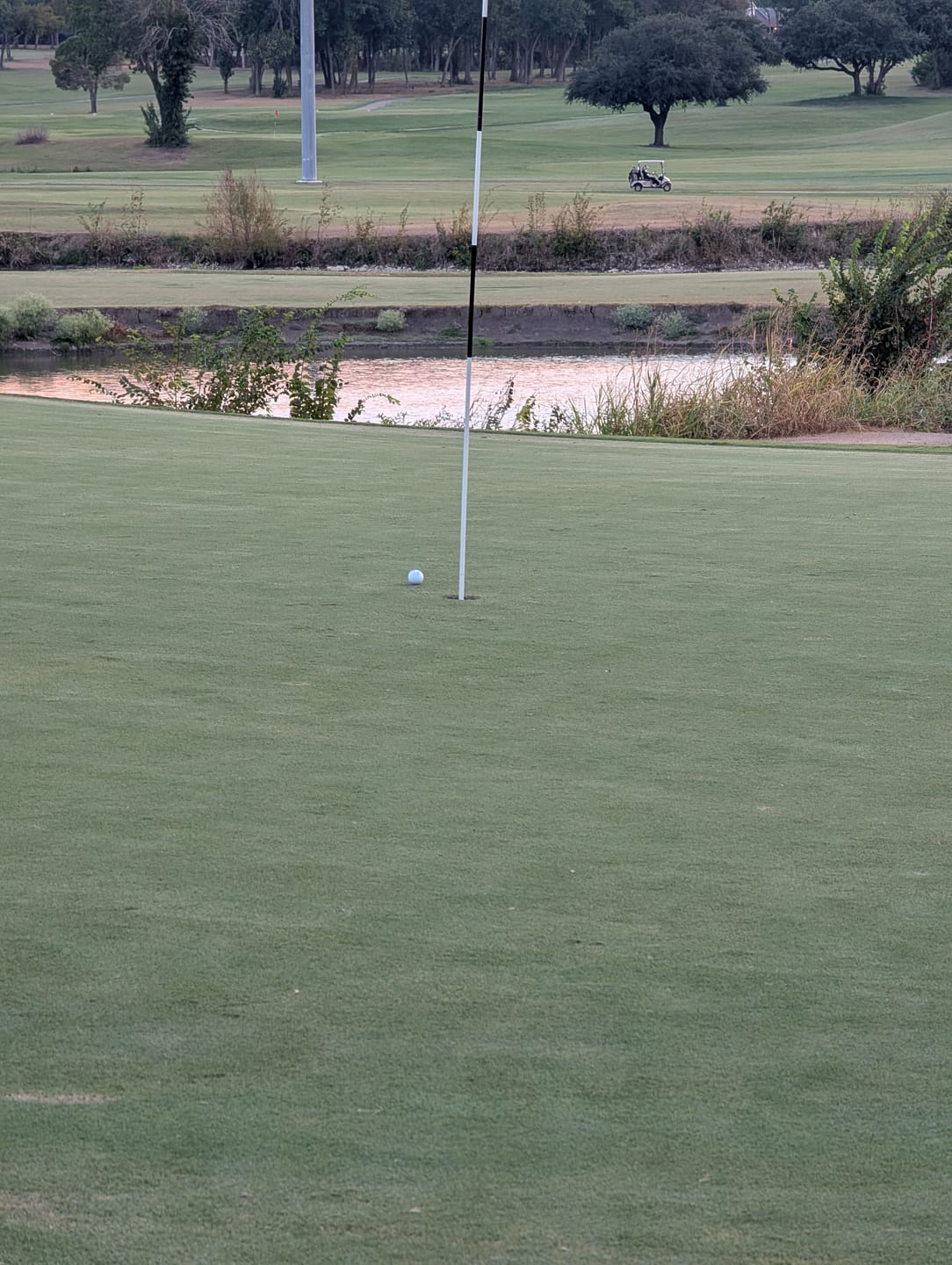 Customer photo review of Exotics Max Fairway