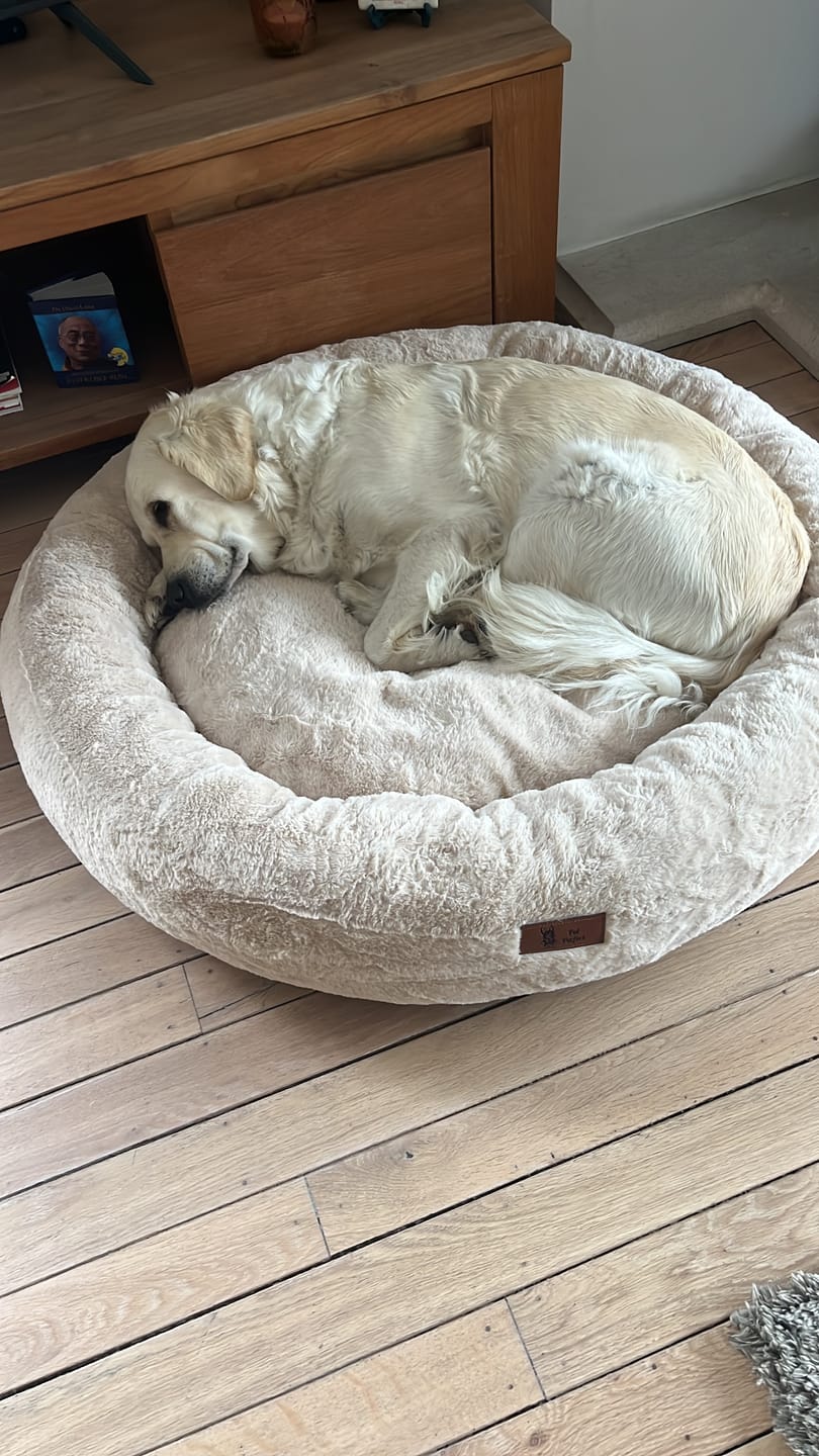Customer photo review of Pet Perfect Orthopedische Donutmand