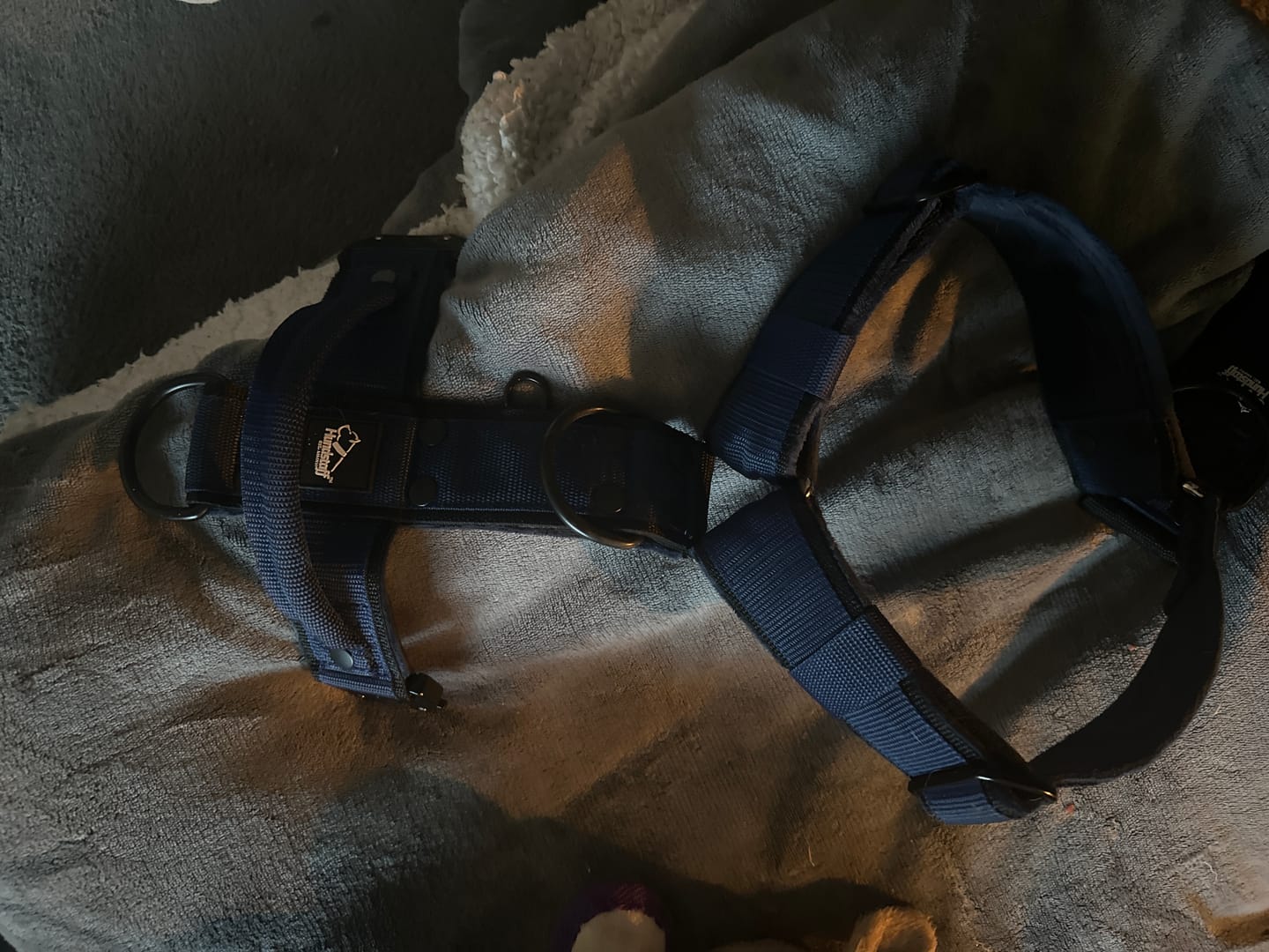 Customer photo review of Easy Walk Extreme Black Edition Blå - Sele med snabbspänne